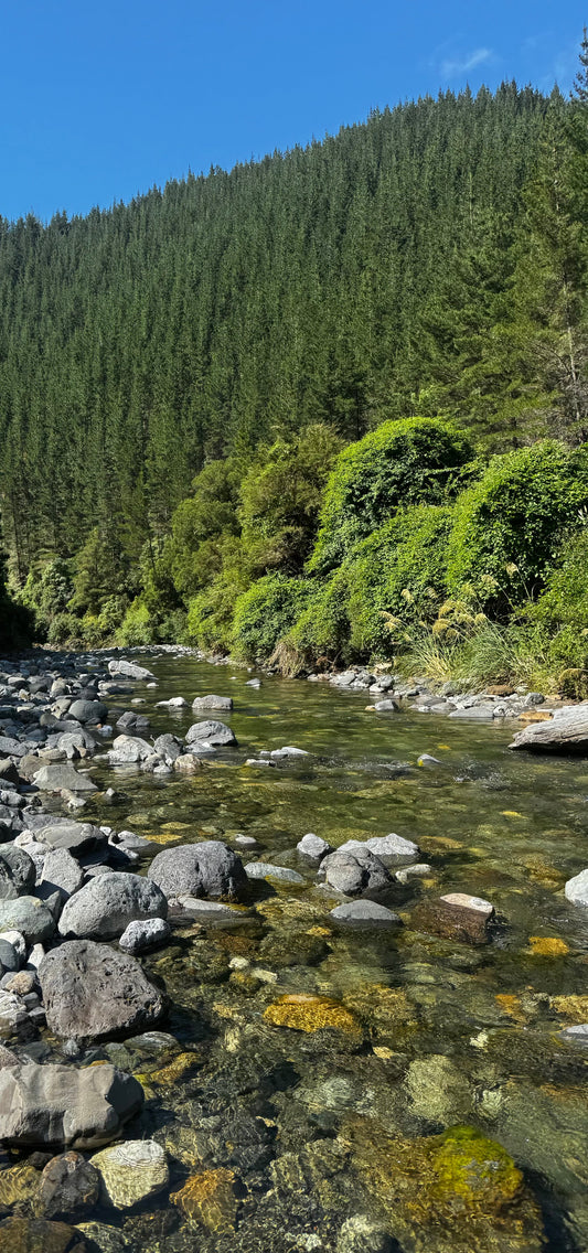 Protecting Our Hills: The Controversy Around Jade Harvesting in Nelson Tasman
