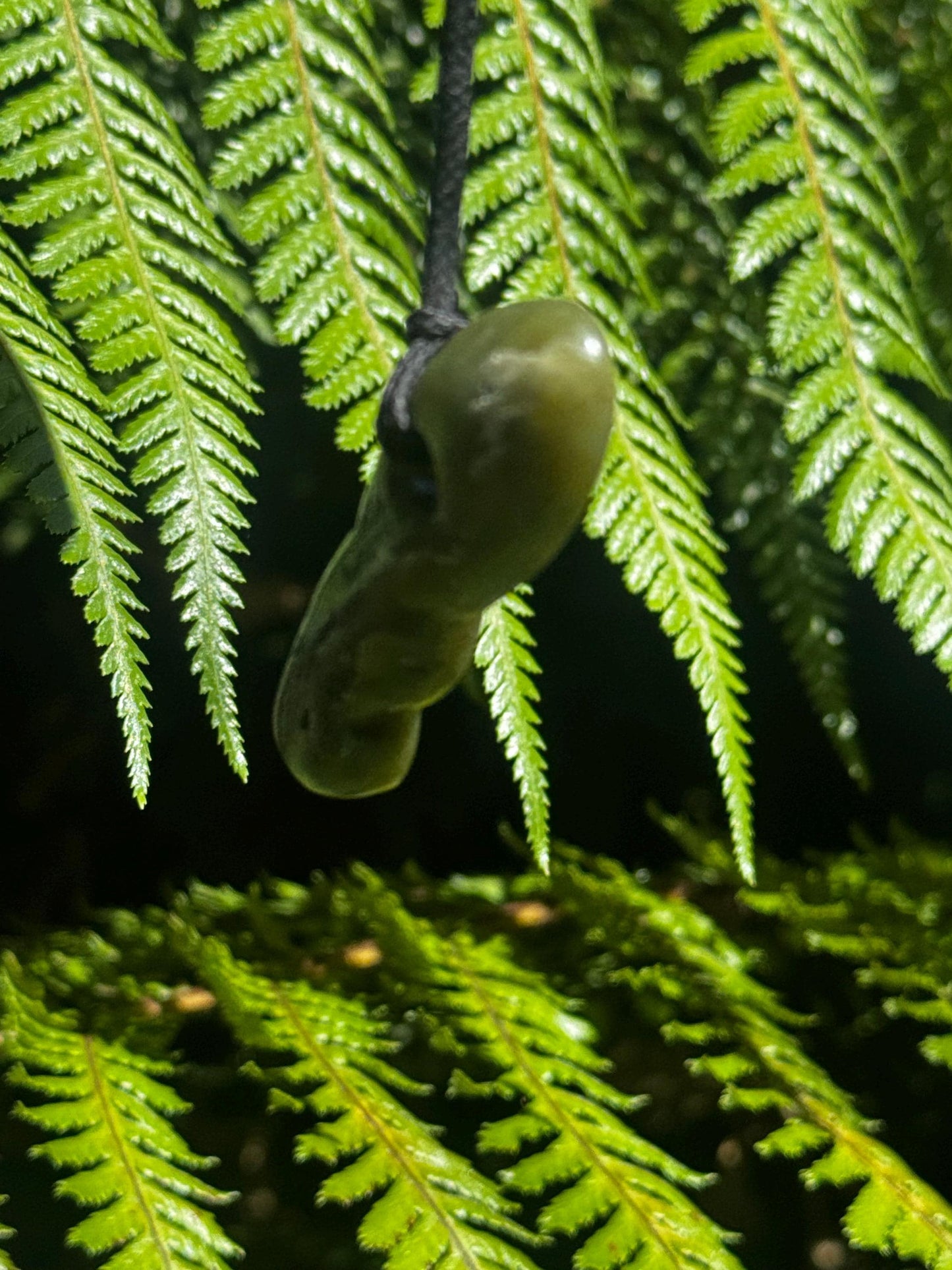 New Zealand (Douglas Creek) Pounamu Hei Tiki - Greenstone Pendant - O’JADE